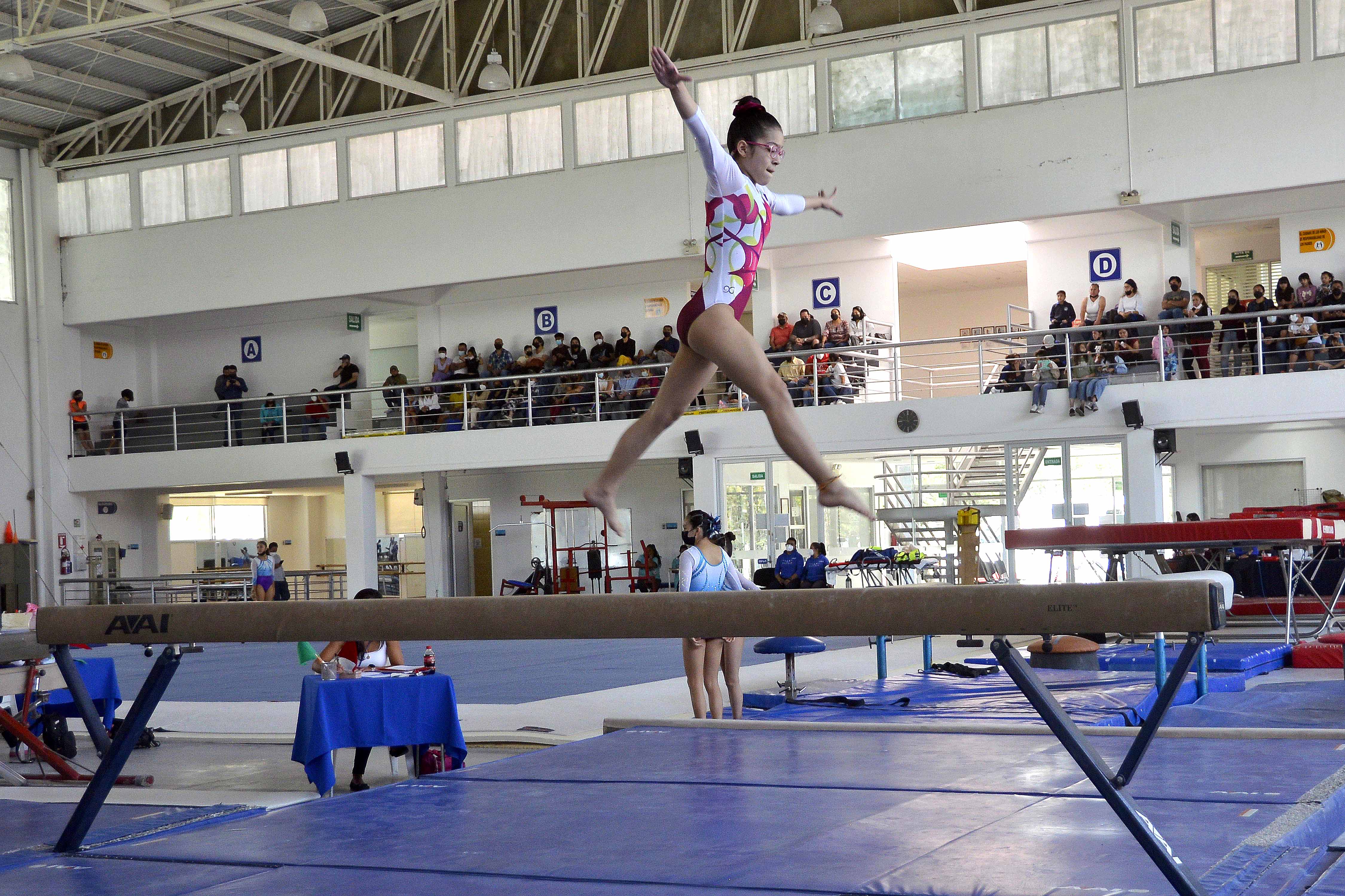 Concluye Con éxito El Campeonato Estatal Selectivo De Gimnasia Artística Femenil Y Varonil En La 2151